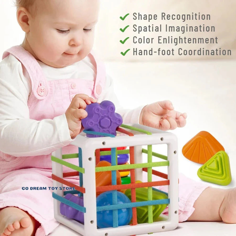 Baby Sensory Sorting Montessori Toy  